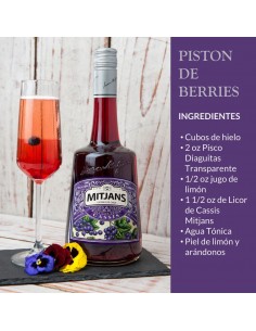 Packs Pack Coctelería Diaguitas Blanco Marca 2