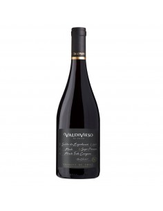 Inicio Vino Súper Premium Mezcla Carignan Marca Valdivieso