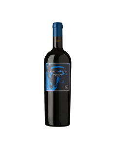 Vinos Vino Caballo Loco Grand Cru Apalta 750cc Marca Caballo Loco 2