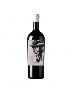 Vinos Caballo Loco Experimental Granítico Marca Caballo Loco 2