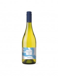 Saldos de Exportación Vino Reserva Waitrose Sauvignon Blanc 2020 - Saldos Marca Valdivieso