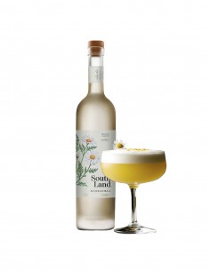 Licores y Destilados Pack Southland 2 Manzanilla Bot Vid 700ml Marca Southland