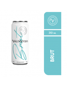 Espumantes Espumante Valdivieso Lata Brut 310ml Marca Valdivieso
