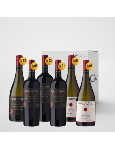 Packs Pack Vinos Valdivieso Premiados Marca Valdivieso