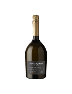 Inicio Espumante Blanc de Blancs Ultra Premium Marca Valdivieso