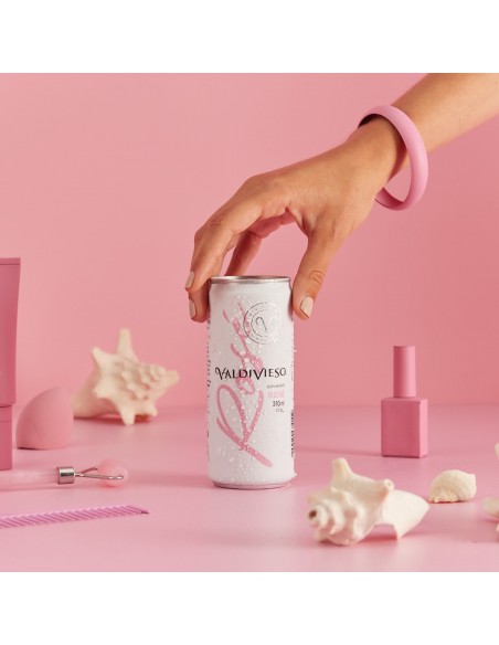 Espumantes Espumante Valdivieso Lata Rosé 310ml Marca Valdivieso