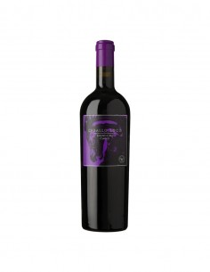 Vinos Vino Caballo Loco Grand Cru Curicó 750cc Marca Caballo Loco 2