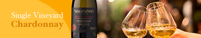 chardonnay Valdivieso